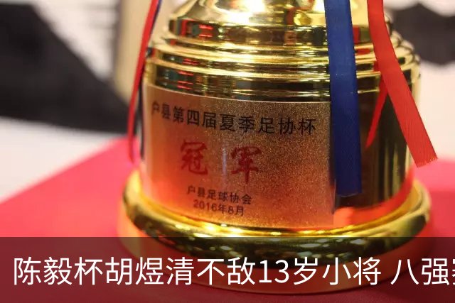 陈毅杯胡煜清不敌13岁小将 八强赛8月乐至进行